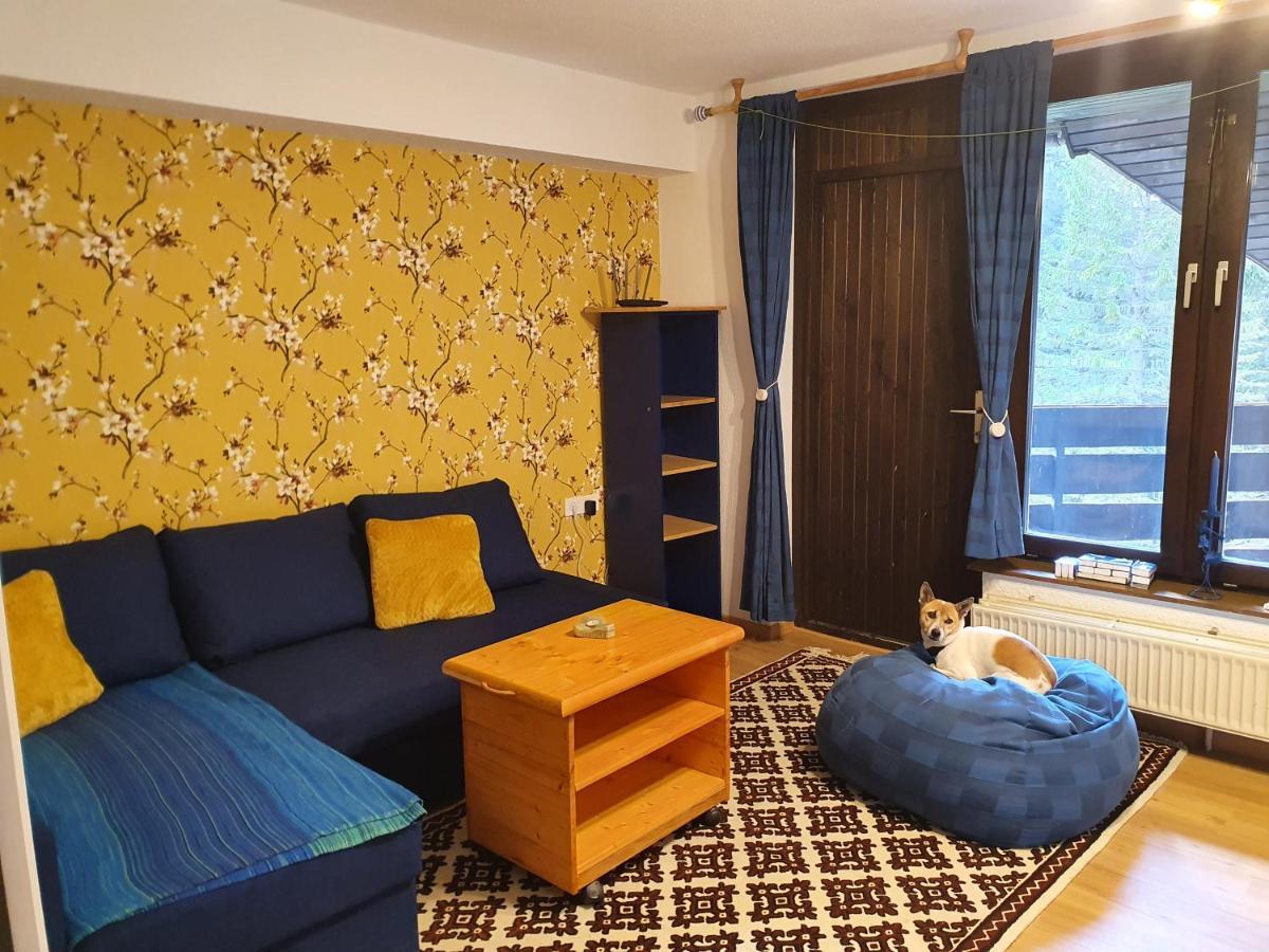 M&M apartment Krvavec Cerklje na Gorenjskem Extérieur photo